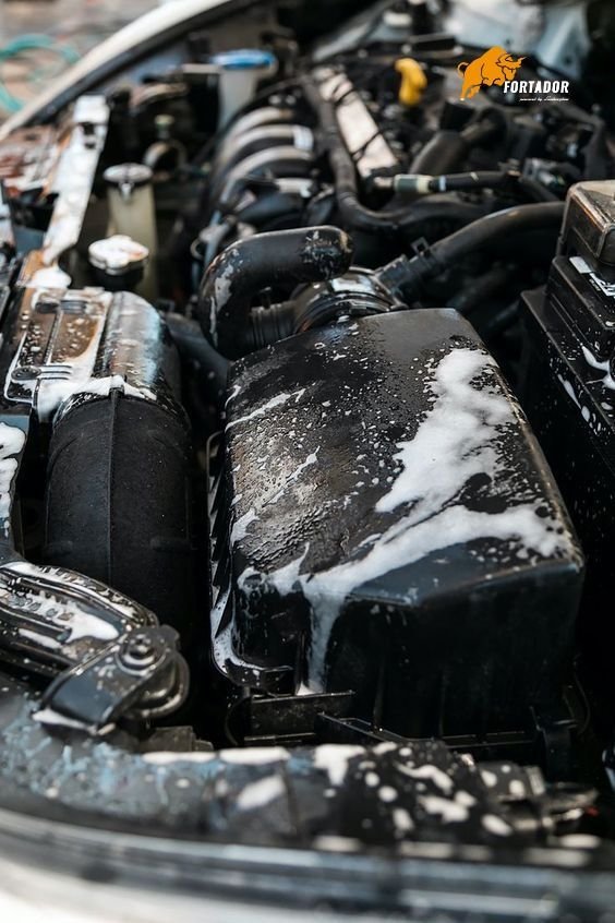 Engine bay cleaning in Curepipe Mauritius - protected rinse, degreasing, soft brush agitation, safe drying and dressing